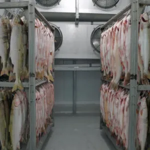 Our Service ABF (Air Blast Freezer) 3 abf_3
