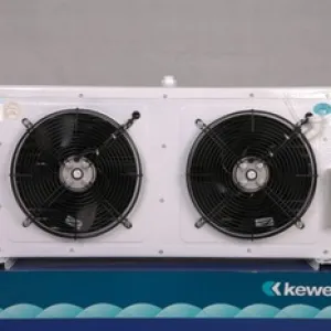 Evap Kewelly 1 keweli_1