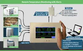 TEMPERATURE SENSOR WITH REMOTE